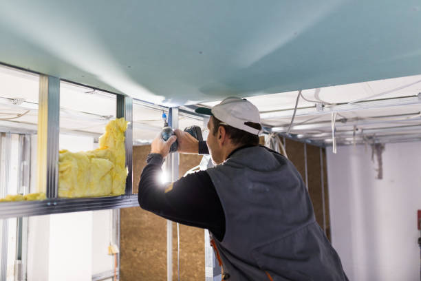 Best Fiberglass Insulation in Opelousas, LA