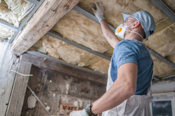 Best Geographic-Specific Insulation Services in Opelousas, LA