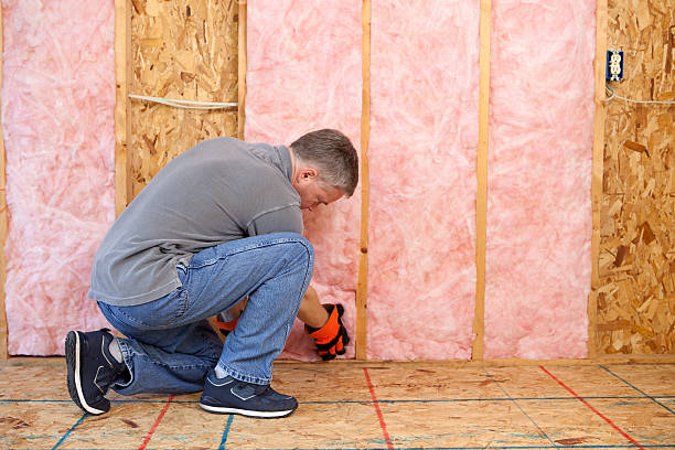 Best DIY Insulation Kits and Guidance in Opelousas, LA