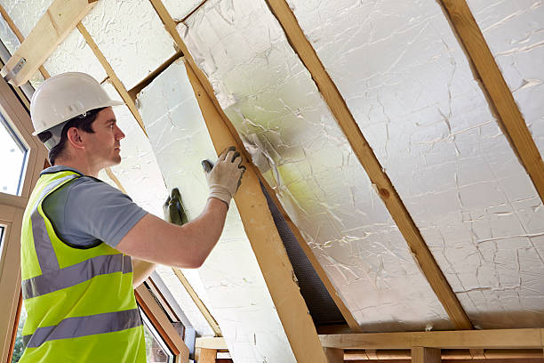 Best Energy Efficiency Insulation in Opelousas, LA