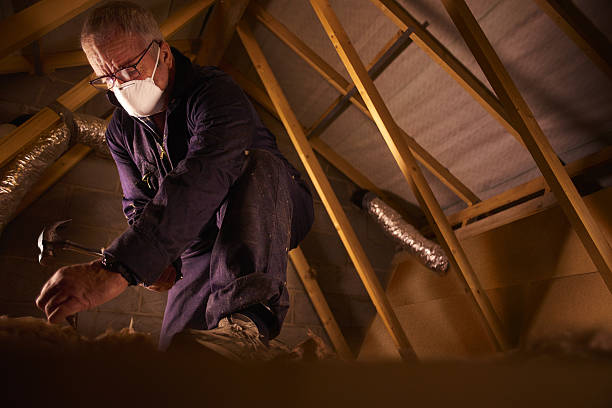 Best Residential Insulation in Opelousas, LA